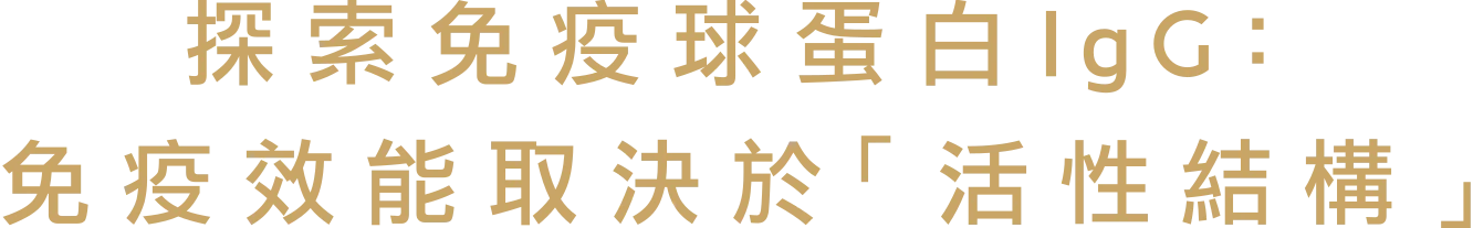 免疫球蛋白IgG的免疫效能 取決於「活性結構」
